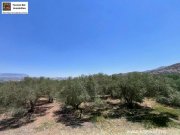 Sivas Professioneller Olivenhain in Anadasmos Siva– Gelegenheit zur landwirtschaftlichen Nutzung und Gewächshausprojekt Grundstück